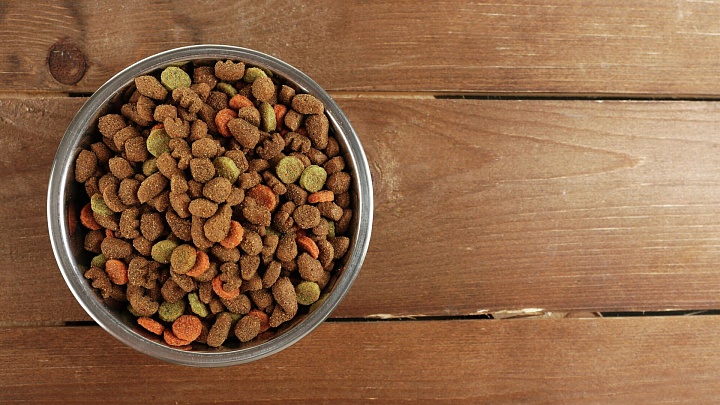 ВШЭ оценила потери бюджета из-за нелегальных кормов для животных