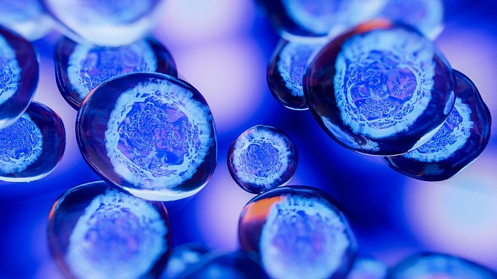 Новосибирские химики разработали препарат от диабета второго типа